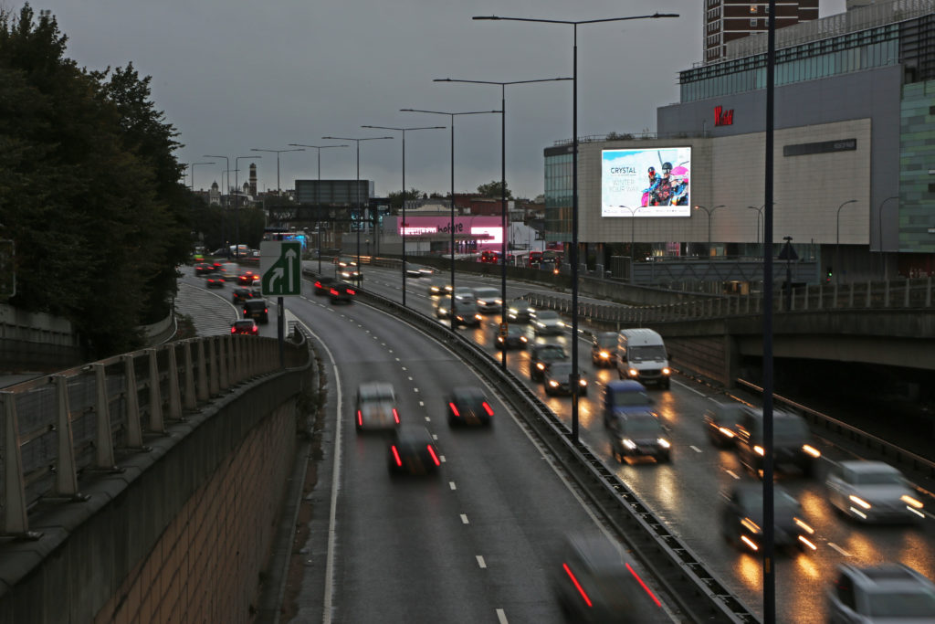 Tui, EastFace, Oct '19 1