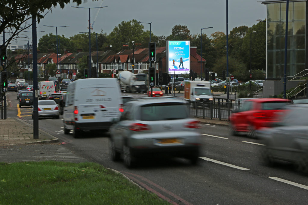 Tui, GypsyCorner, Oct '19 1