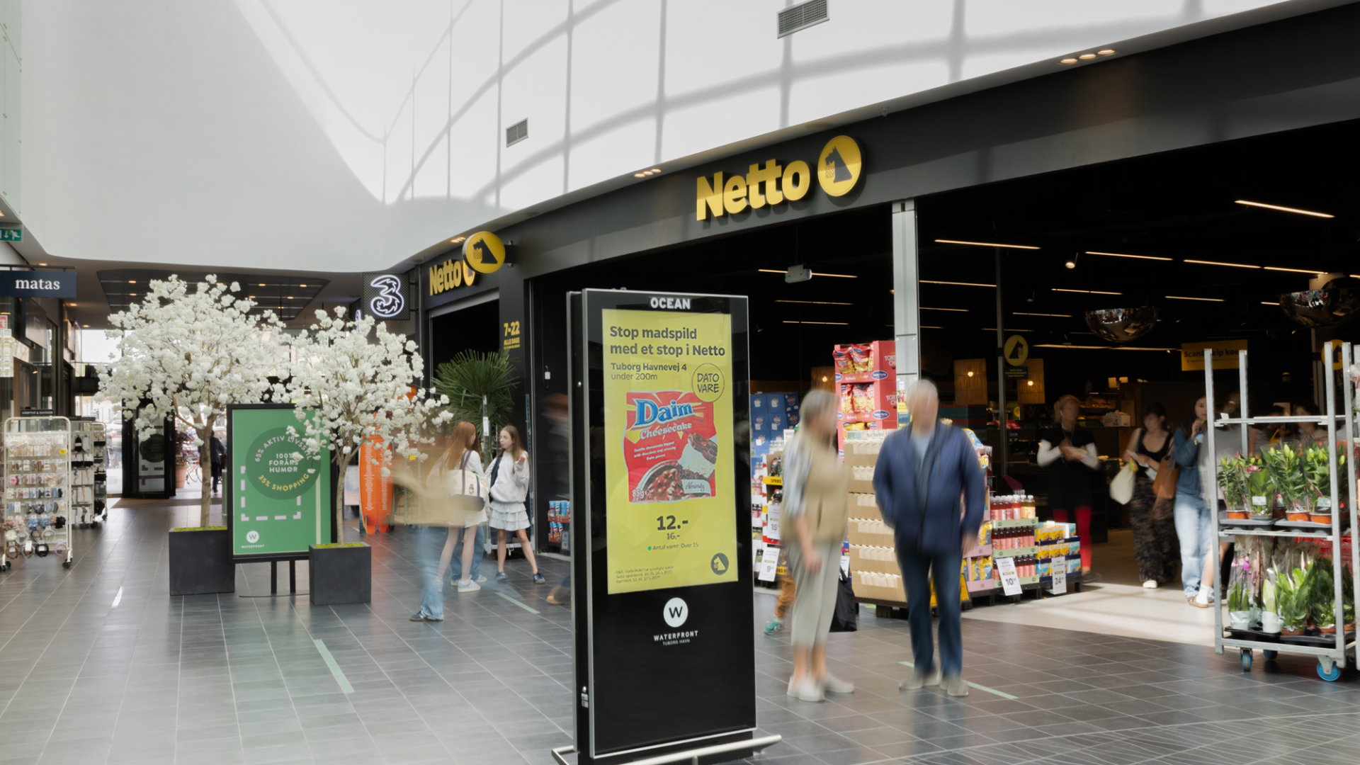 Netto2