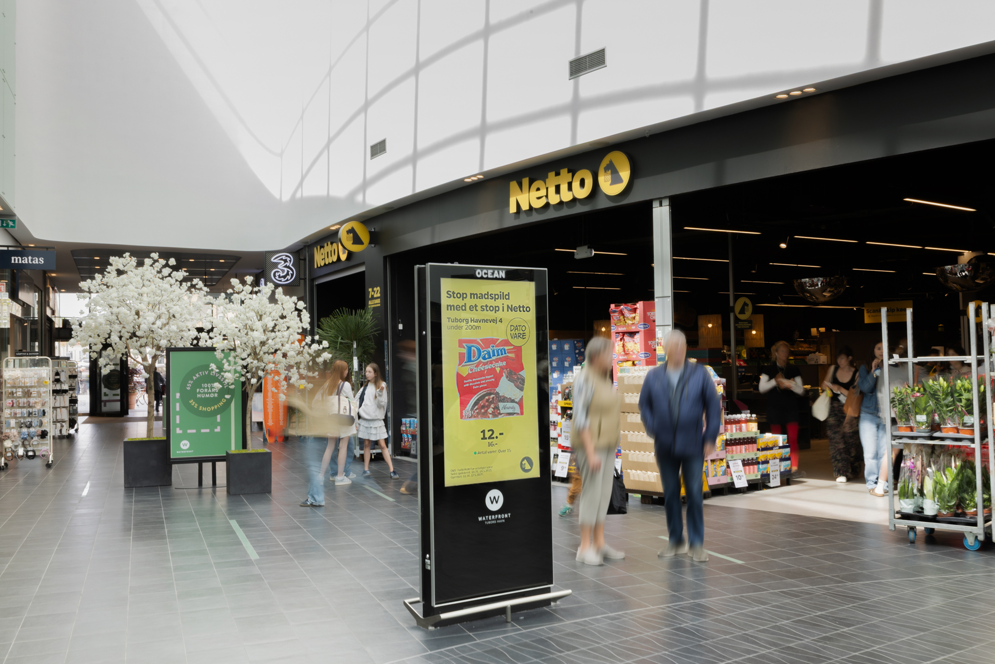 Netto2