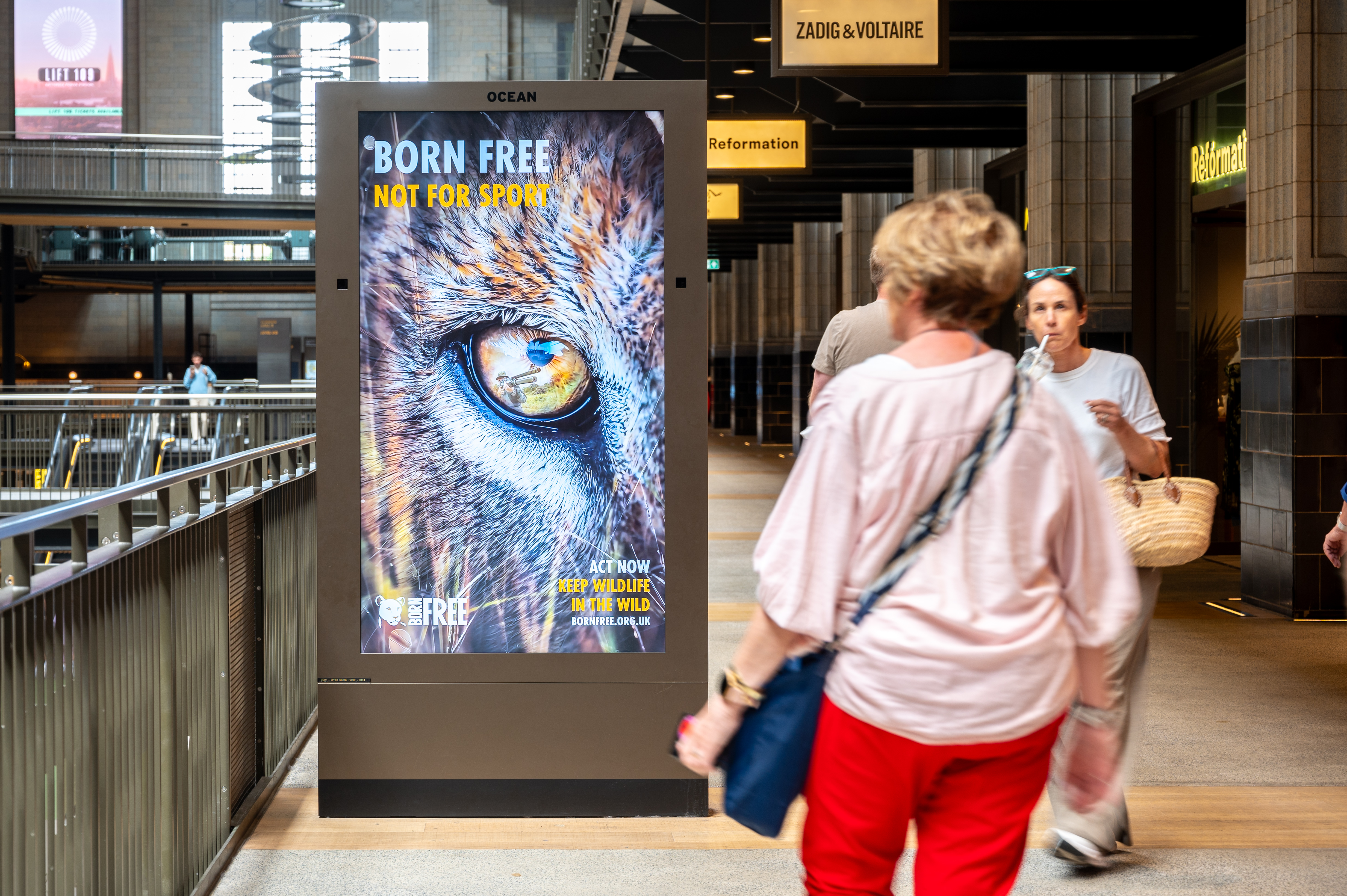 Born Free, Battersea, July-25-32