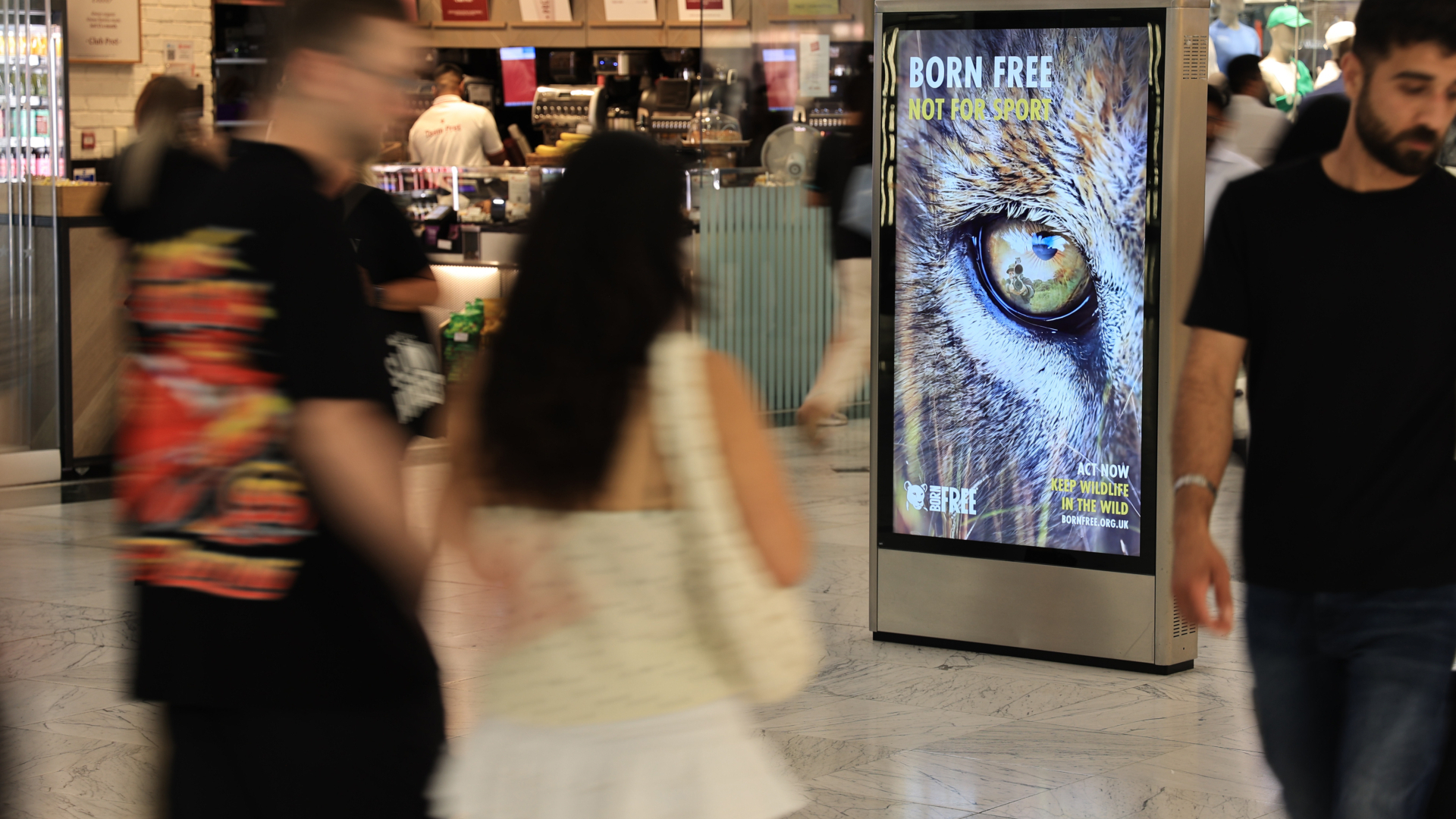 Born-Free-CWD6-Jun-25-5-1920x1280