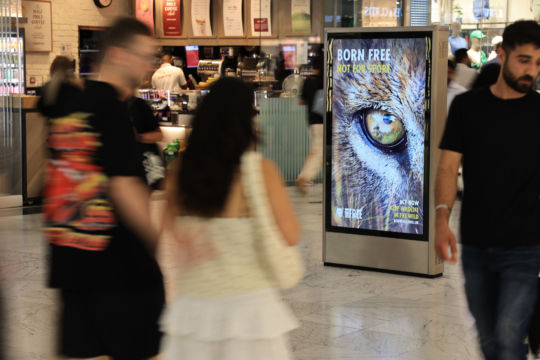 Born-Free-CWD6-Jun-25-5-1920x1280