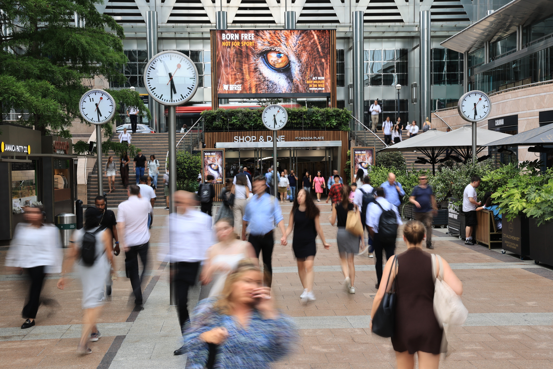 Born-Free-Screens@CW-Jun-25-4