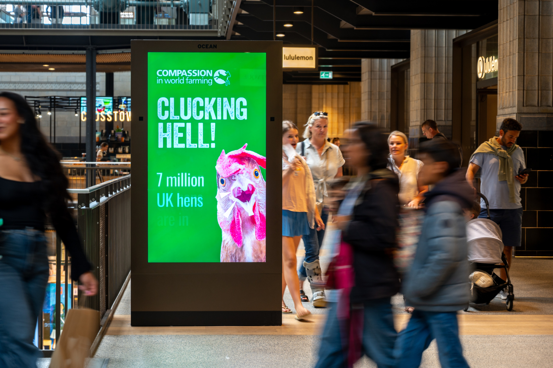 Compassion-in-world-farming-Battersea-July-25-23