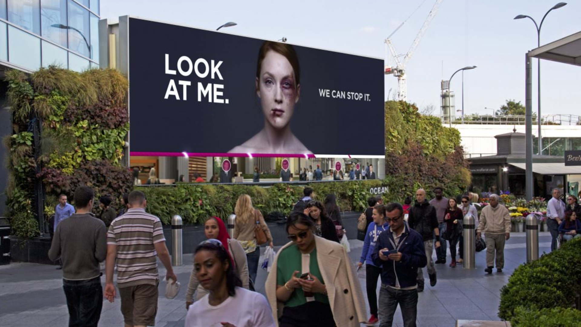 1435138907_magicfields_news_photo_jpg_1_1-1920x1080