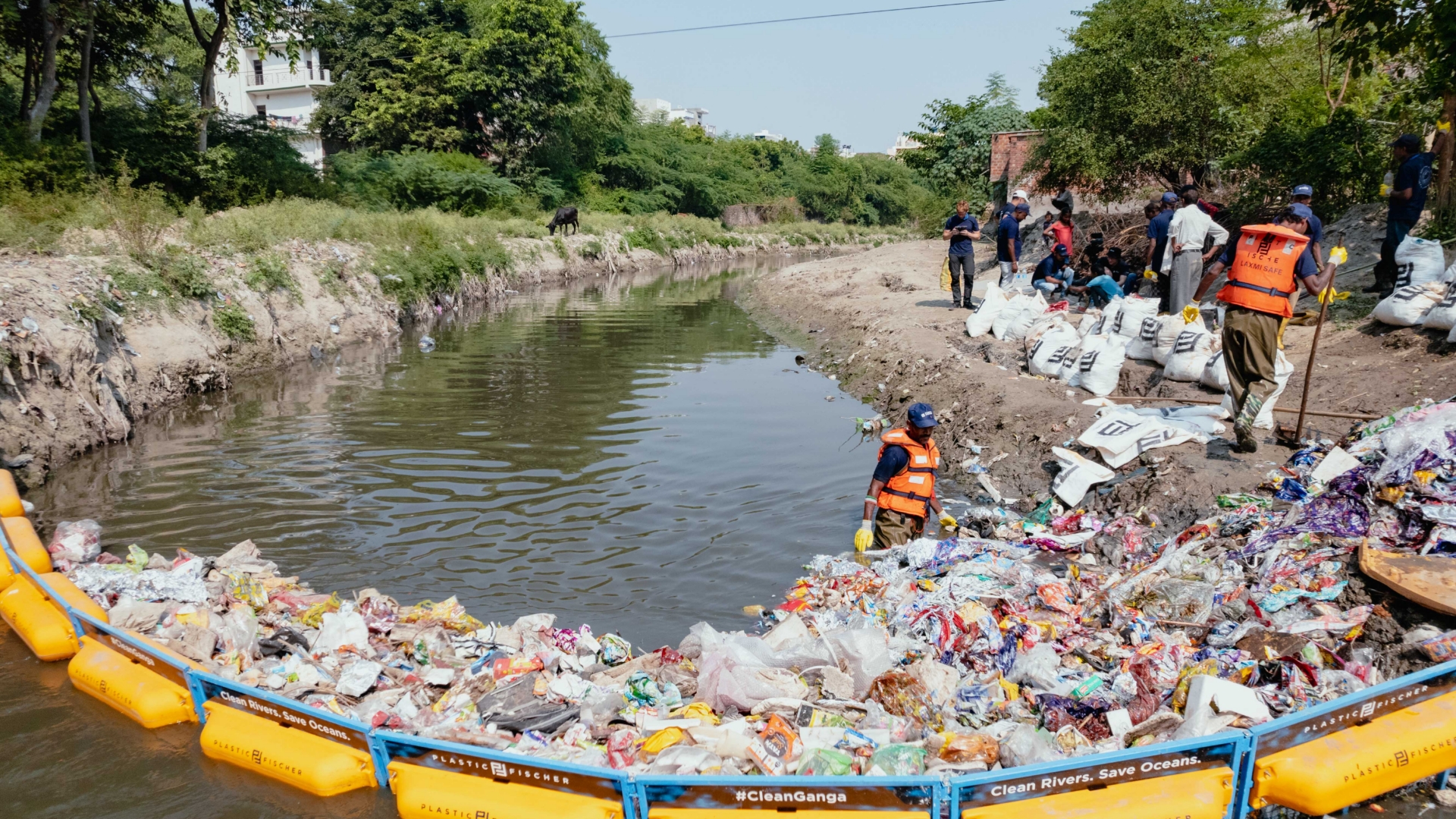 plasticcleanup