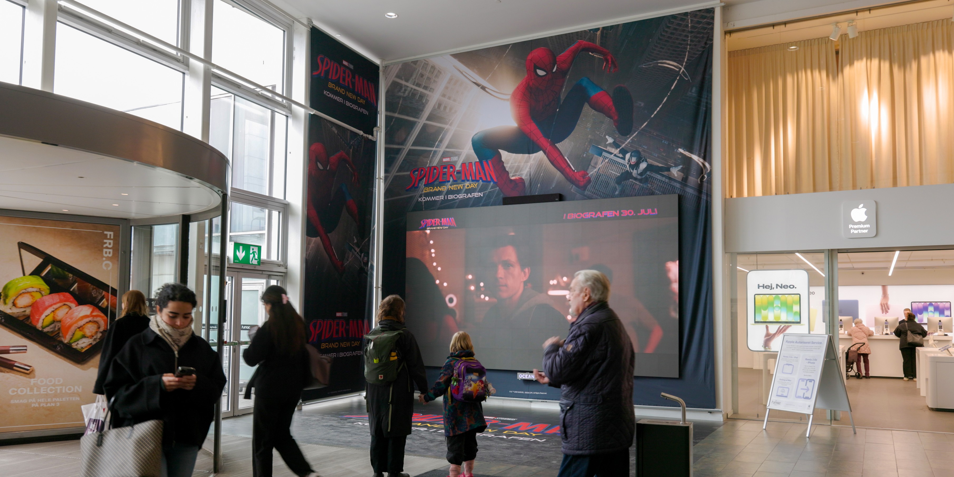 Spider-Man_FRBC6