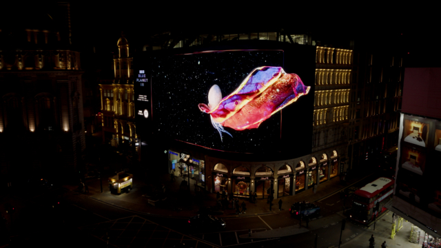 BBC_BLUE_PLANET_III_STILLS.00_00_43_04.Still008