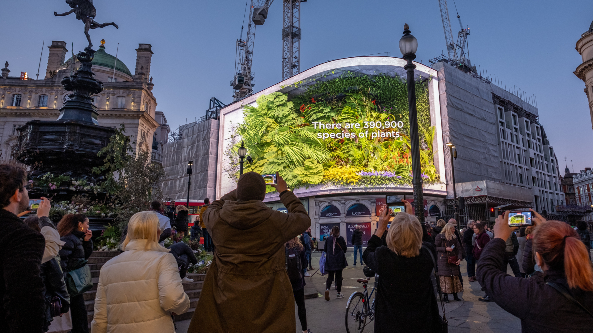 BBC_GREEN_PLANET_PICCADILLY_FEB22_©OCEAN-12.jpg