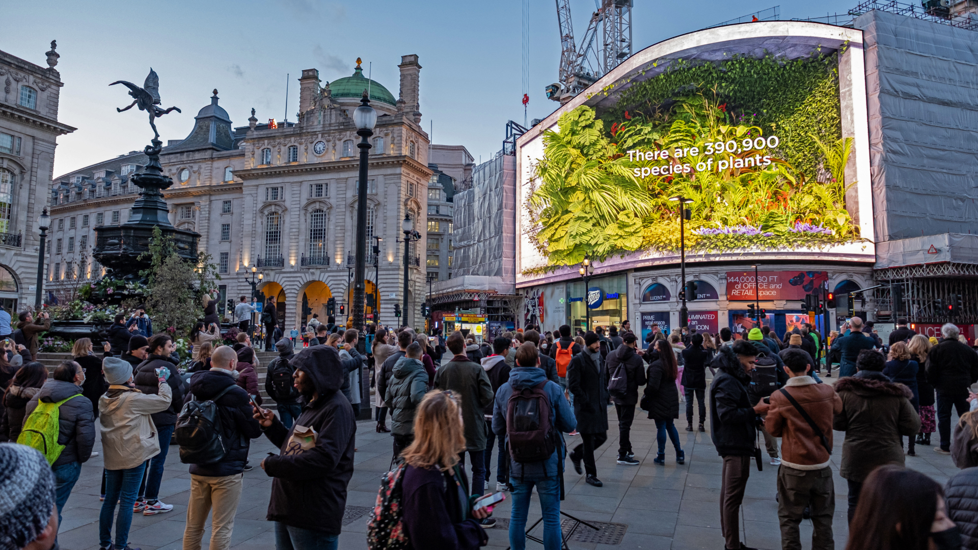 BBC_GREEN_PLANET_PICCADILLY_FEB22_©OCEAN-2.jpg
